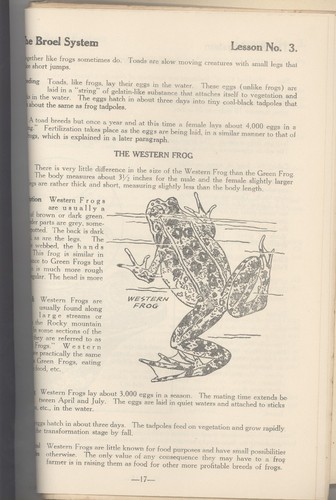 1936 Nueva Orleans Louisiana CULTIVO DE RANAS BULLFROG CULTIVO Broel Sistema #3 ENLATADO - Imagen 3 de 3