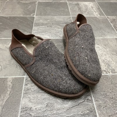 ugg cooke