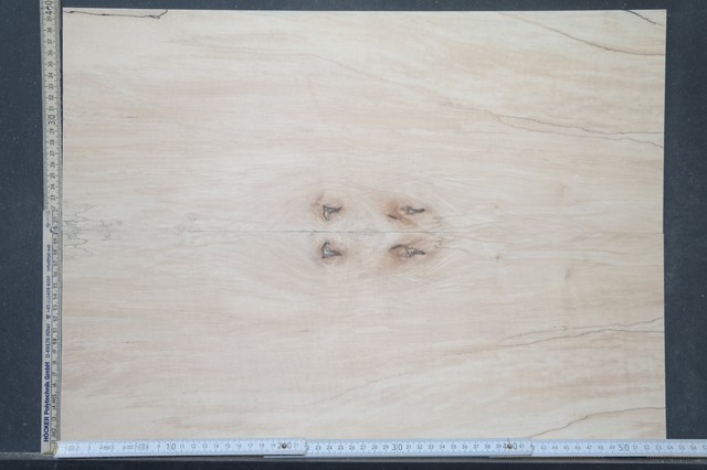 Tonewood Ambrosia Maple Bookmatched 11 mm Tonholz Topset Guitar Ahorn Droptop