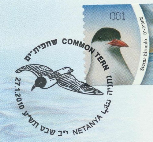 Israel Sterna Hirundo Birds ATM Labels 2010 Full Set on 8 FDCs - Picture 4 of 4