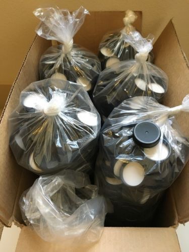 100 Growler Poly Seal Caps Fit 1/2 - 1 Gallon Jug Draft Foam Liner Lot 100 pcs - Picture 1 of 3