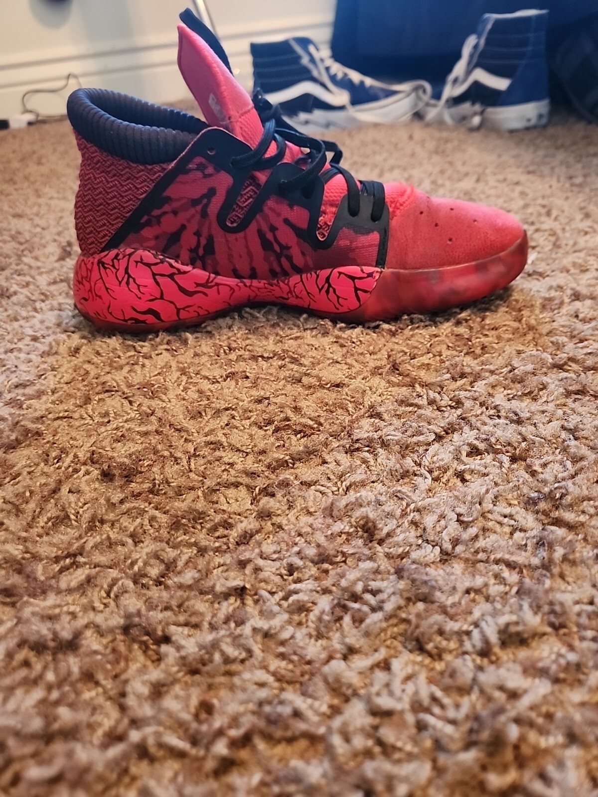 Picture 10 of 16