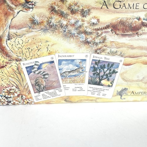 Onto The Desert A Game of Survival Ampersand Press 1995 New - Picture 2 of 6