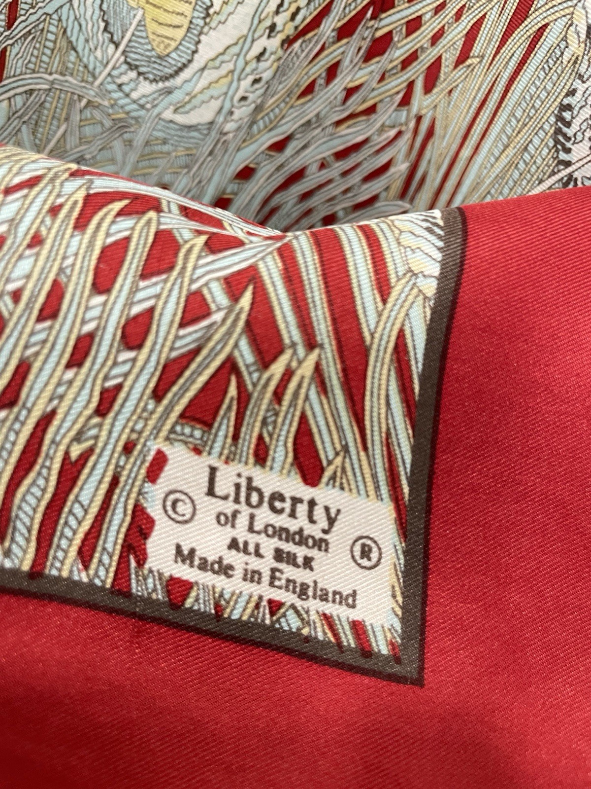 Foto 2 di 4