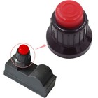 Foto 4 di 5