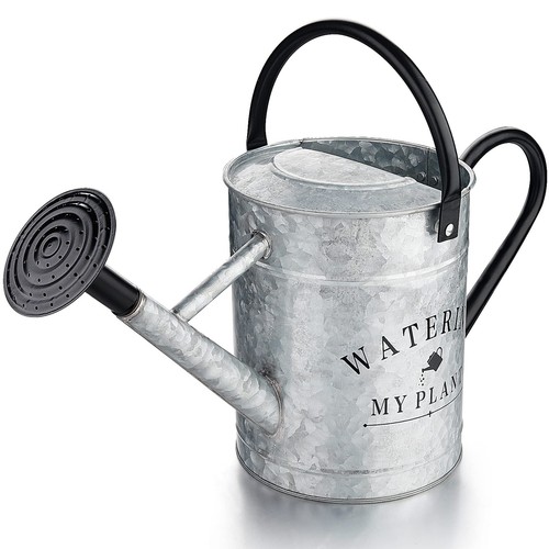 Galvanized Watering Can for Outdoor Indoor Plants, 1 Gallon Decorative Countr...