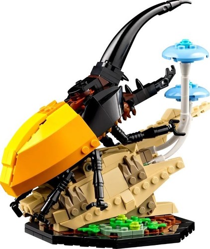 5702017497877 Bricks Ideas 21342 Insect Collection LEGO - Bild 7 von 10