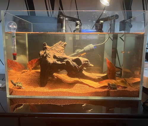 Arena natural de selva tropical sudamericana de 11 lb, arena roja de acuario, roca de lava Soi... - Imagen 7 de 7