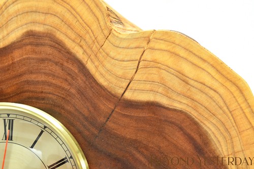 LARGE LIVE EDGE TREE TRUNK / STUMP SLICE MANTEL CLOCK - STUNNING RINGS - QUARTZ - Picture 5 of 18
