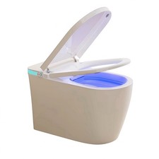 Smart Toilet Heated Bidet Seat Auto Open Close Remote Flush Modern