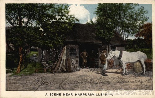 Harpursville,NY A Rural Scene With Horse Broome County New York Octochrome - Picture 1 of 2