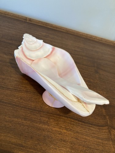 Vintage Conch Sea Shell Serving Bowl Dish With Spoon 8” Spoon Rest Trinket Dish - Picture 12 of 14