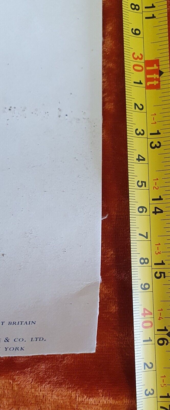 Picture 11 of 11
