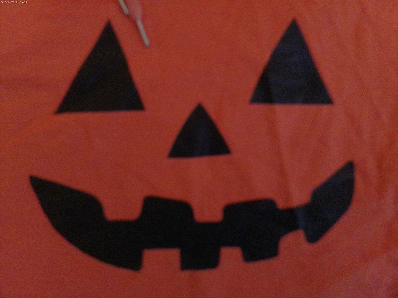 Picture 2 of 5