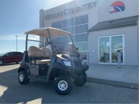2021 AGT Zephyr 2 Golf Cart electric, 2 seater, golf, LED lights 48 volt