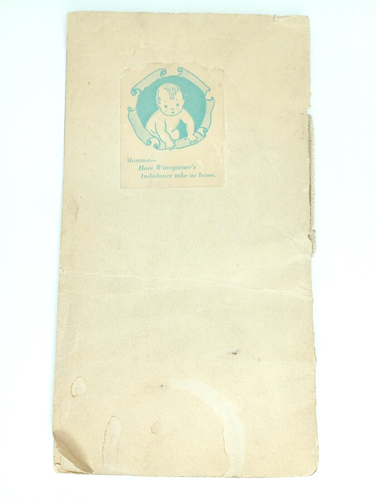 Antique Baby Record Book With N.P Clippings Baby Names - Picture 7 of 21