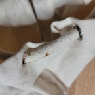Foto 10 di 10