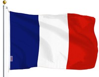 FRANCE FRENCH FLAG NEW 3x5ft WITH BRASS GROMMETS USA seller