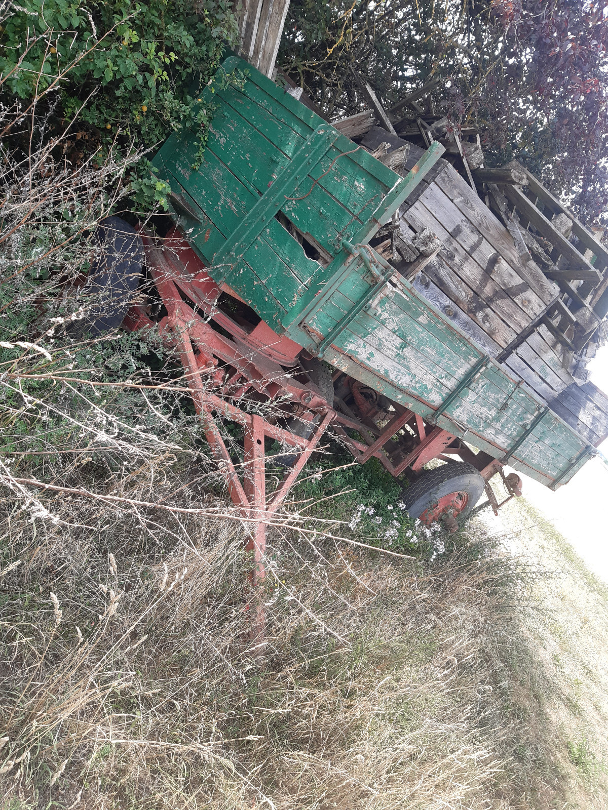 Bild 3 von 5