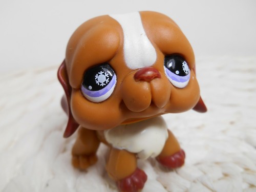 LPS Littlest petshop pet shop chien chat européen dogue colley cat dog rare - Imagen 80 de 91