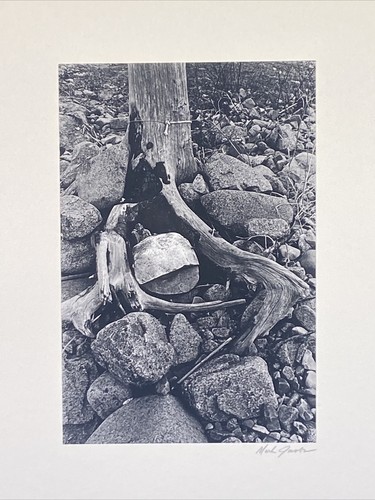 Mark Jacobs SIGNED Matted Photograph Maine USA Tree Roots on Rocky Shore 1970 - 第 2/6 張圖片