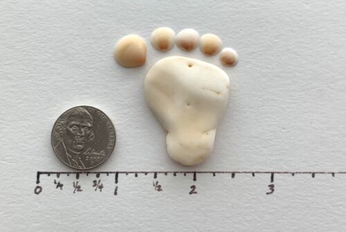 Barefoot Foot Print Natural Beach Shell Pebble Art Craft baby frame sign #FP USA - Picture 3 of 13