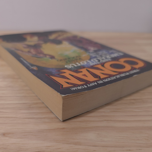 Conan and the Emerald Lotus by John C. Hocking (Tor Books) 1st Print Trade PB - Imagen 4 de 7