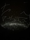 Foto 8 di 8