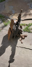 Vintage Mastercraft Tools Cross Slide Table . Machinist Tooling