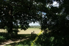 Photo 6x4 View of houses in Loughton from Roding Valley Nature Reserve #3 c2016