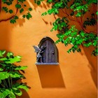 Bild 11 von 12