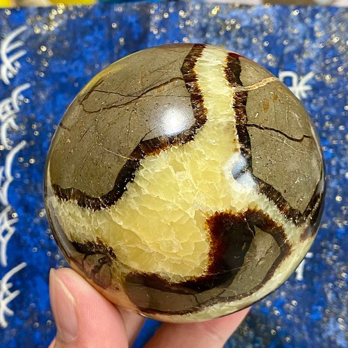Natural Turtle back stone Ball Quartz Crystal Sphere Energy Reiki Décor - 1.16LB - Picture 7 of 12