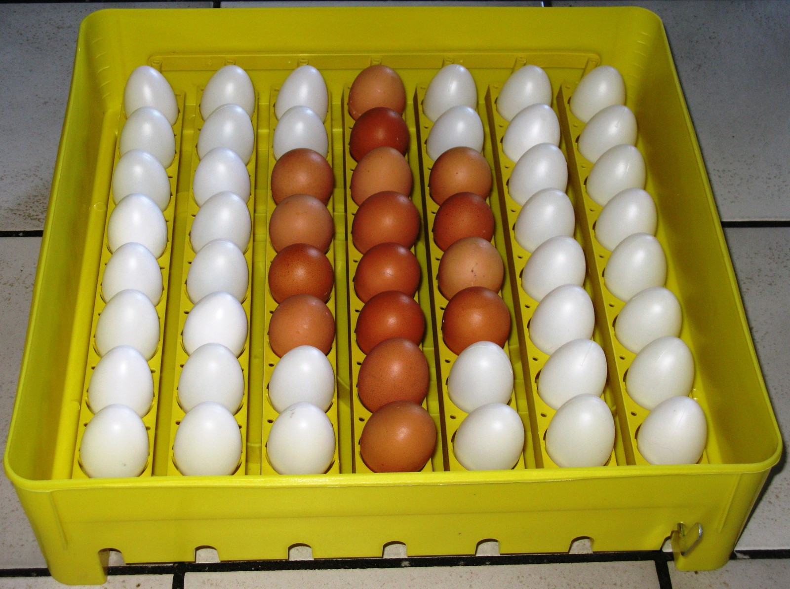 102) Inkubator/Brutkasten/Brutmaschine/Brutapparat/Incubator/Incubadora/Couveuse Populaire verkoop
