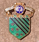 US WW2 Army Air Corps Military USAAF 1st Fighter Group DI DUI Pin Distinctive