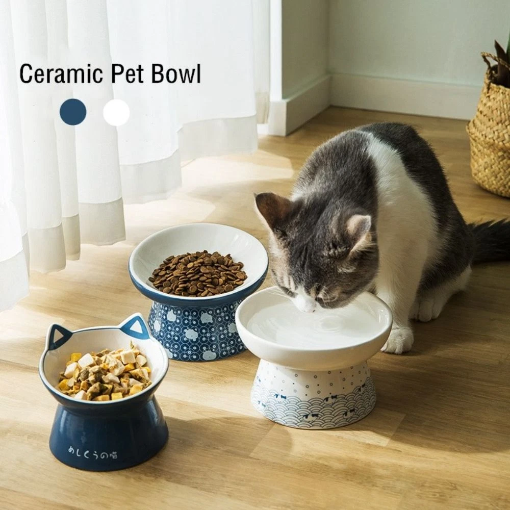Raised cat on sale feeder