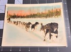 New Listing1940s Alaskan Sled Dog Alaska Man Siberian Husky Vintage 5x7 Color Tinted Photo
