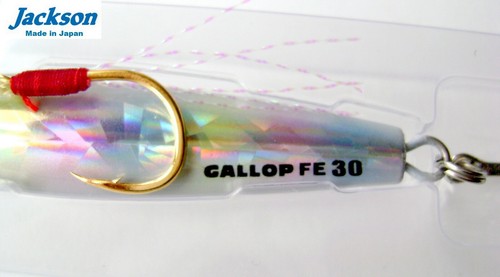 JACKSON Gallop Assist Fall Edition 30gr.1 oz... Señuelo Shore Jigging, JIG de pesca - Imagen 3 de 11