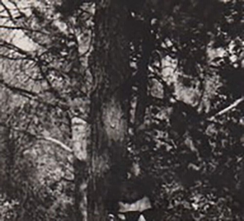 Affectionate Handsome Young Man Shirtless Muscular Bulge Trunks Beach Gay Int - Picture 2 of 7