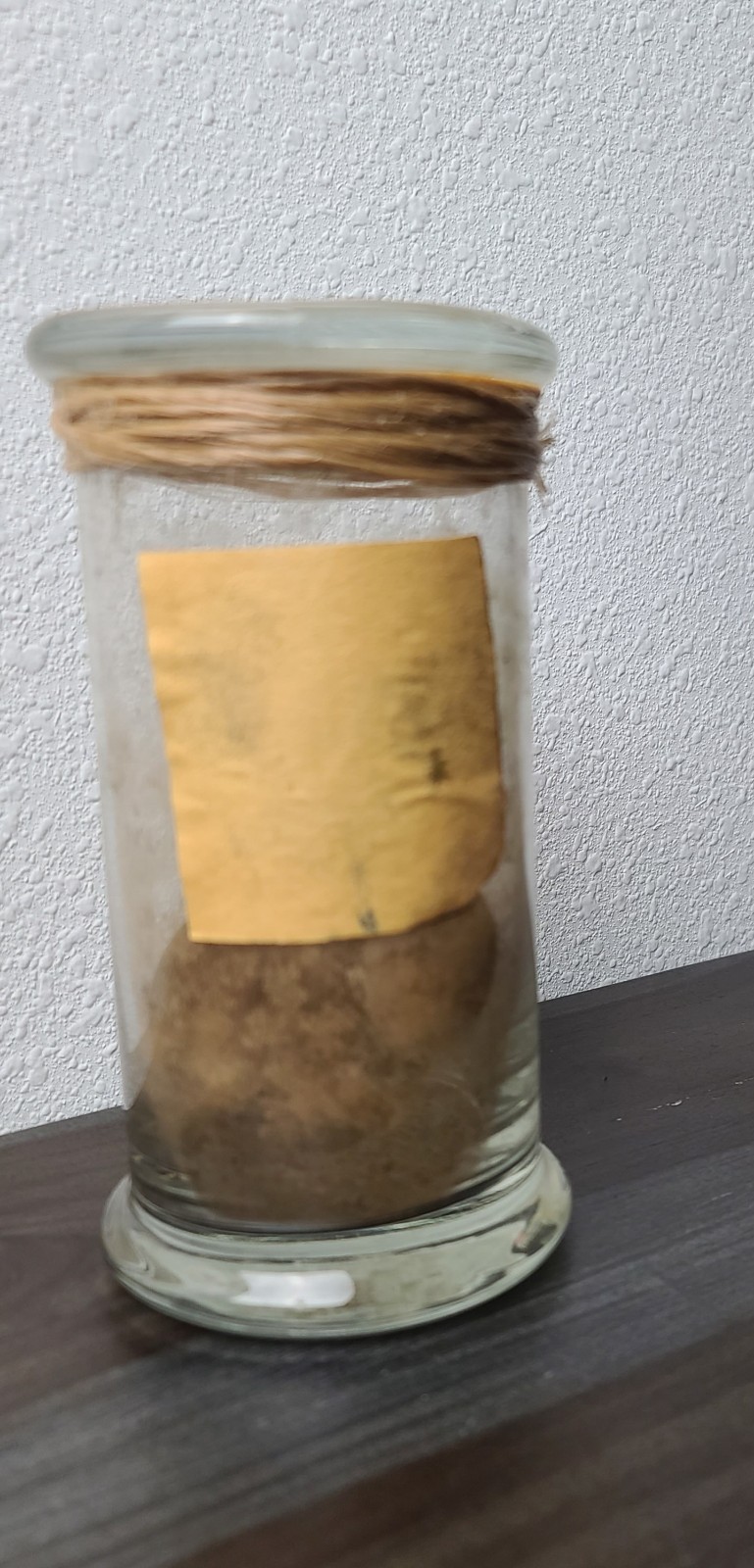 Foto 5 di 13