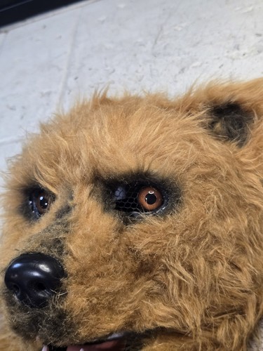 Spirit Bear Mask Adult Halloween Costume Overhead Moving Mouth Realistic - Picture 3 of 10
