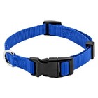 S Dog Collars X10 Smart Home Protocol