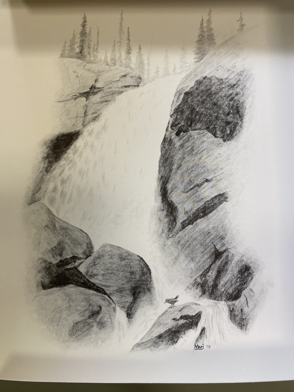 Picture 5 of 8