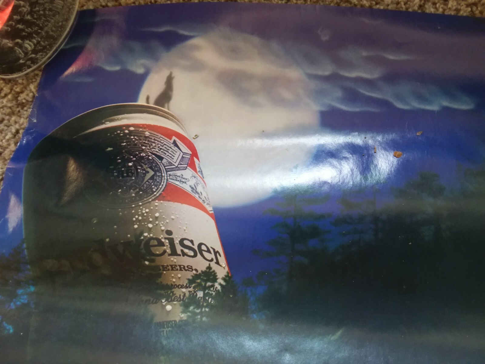 Picture 3 of 5