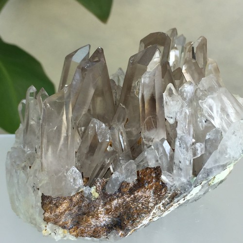 660g Natural Clear White Quartz Crystal Cluster Mineral Rough Specimen Healing - Picture 4 of 12