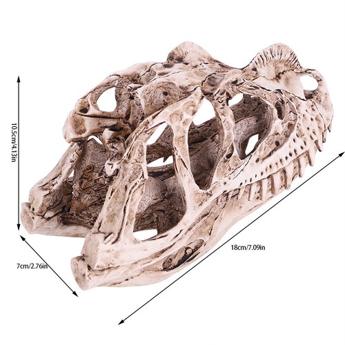 Resin Dinosaur Skull Model Simulated Animal Skeleton Home Office Decor Craf - Picture 2 of 11