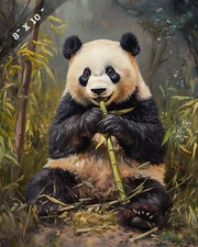Giant Panda Sitting Bamboo Wildlife 8x10 Matte Print 