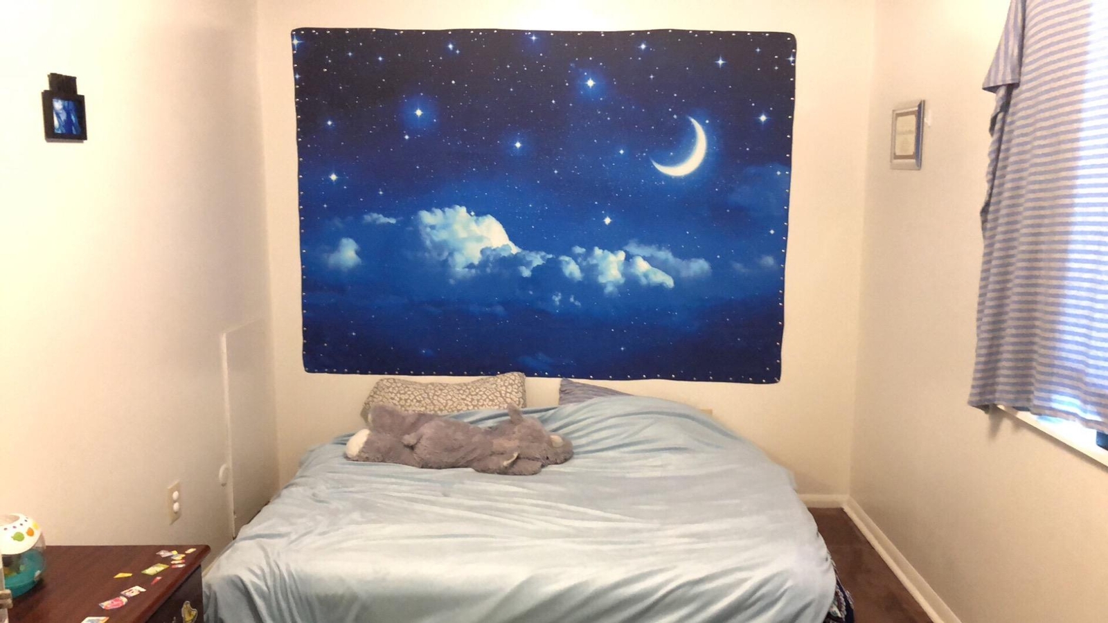 Picture 9 of 12