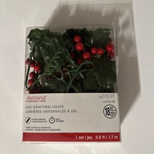 Red Berry & Green Leaf LED Crafting Lights by Ashland