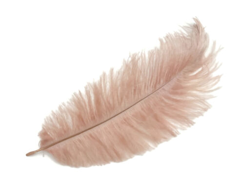 10 Pieces - 8-10" Champagne Ostrich Drabs Body Feathers Centerpiece Mardi Gras - Picture 7 of 11