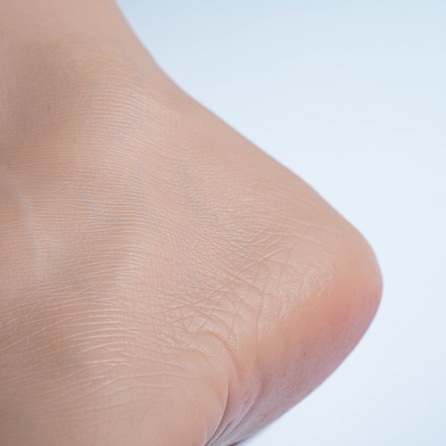 NUOVO manichino piedi vene maschili silicone platino raro piedi grandi EUR46/colore grano - Foto 15 di 15